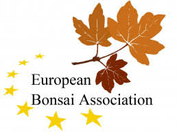 EBA 2024 (European Bonsai Association)