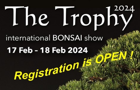 Bonsai Trophy