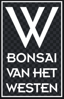 16th Bonsai Van Het Westen
